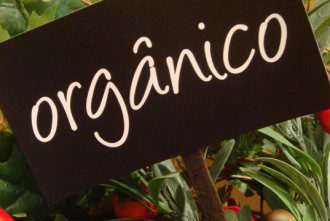 placa-de-alimentos-organico