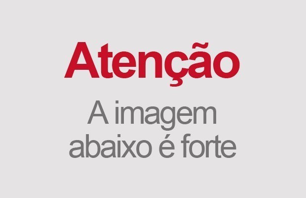 imagem3