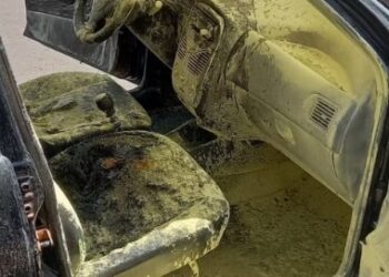 Piauí: Carro pega fogo após explosão de bateria de celular (Foto: reprodução)