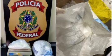 Foto mostra as drogas apreendidas pela Polícia Federal, que foram enviadas via Correios de São Paulo com destino ao Piauí | Divulgação/ Polícia Federal