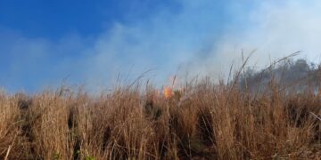 Incêndio assusta moradores de Cajazeiras do Piauí