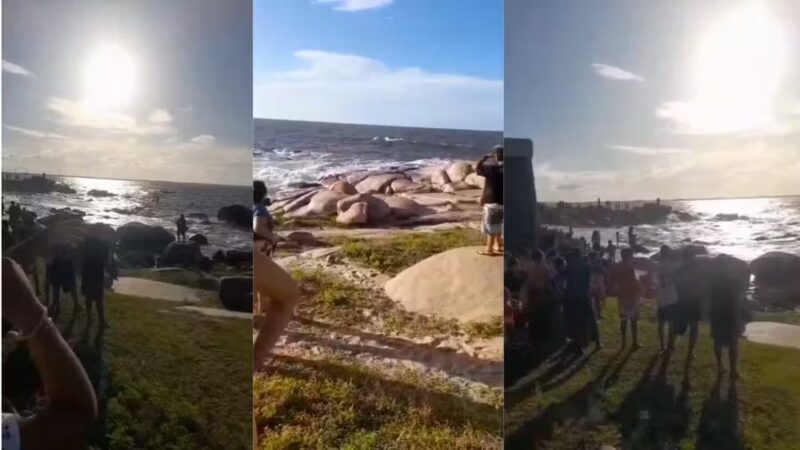 Estudante de 20 anos desaparece no mar após se afogar enquanto banhava com mais dois amigos no Piauí — Foto: Reprodução