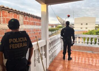 Polícia Federal investiga suspeitos de produzir e compartilhar conteúdo de violência sexual contra crianças e adolescentes no PI — Foto: Divulgação