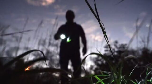 Sistema alerta sobre desaparecimentos de crianças e adolescentes no PI; casos crescem quase 50% em dois anos — Foto: Reprodução/TV Globo
