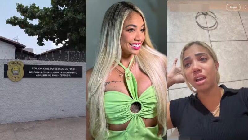 'Próximo passo é me matar', diz influenciadora digital ao denunciar agressões de ex-namorado no PI; homem descumpriu medida protetiva — Foto: Reprodução