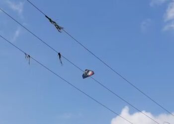 Pipa presa em fio de alta tensão — Foto: Tiago Bezerra/TV Vanguarda