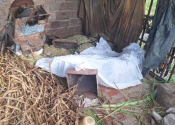 Trabalhador rural de 44 anos morre após ser atingido por peça de triturador que se soltou, no Piauí — Foto: Reprodução