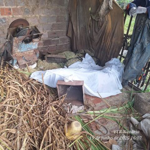 Trabalhador rural de 44 anos morre após ser atingido por peça de triturador que se soltou, no Piauí — Foto: Reprodução