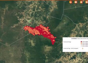 Chamas comprometem agricultura e levam Pavussu a declarar calamidade 2 incêndio atinge 90km² de área de mata no Sul do Piauí — Foto: Reprodução / Defesa Civil