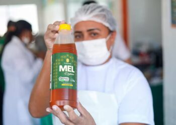 Mel substituirá açúcar na merenda escolar de 178 mil alunos no Piauí