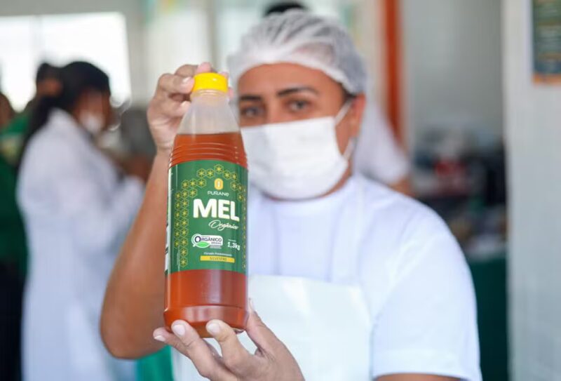 Mel substituirá açúcar na merenda escolar de 178 mil alunos no Piauí