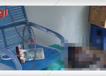 Pedreiro de 56 anos morre em acidente com máquina de corte no interior do Piauí — Foto: Montagem g1