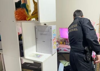 Polícia Federal coordena operação nacional contra abuso sexual infantil — Foto: Divulgação/PF