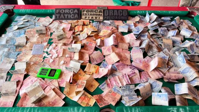 Polícia apreende droga enterrada em área de mata e dinheiro durante operação no Piauí — Foto: Reprodução
