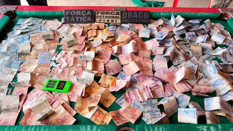 Polícia apreende droga enterrada em área de mata e dinheiro durante operação no Piauí — Foto: Reprodução