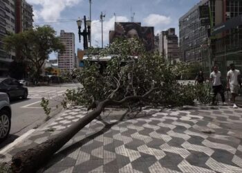 Ventania derruba árvores e afeta serviços em São Paulo durante rajadas de até 90 km/h.