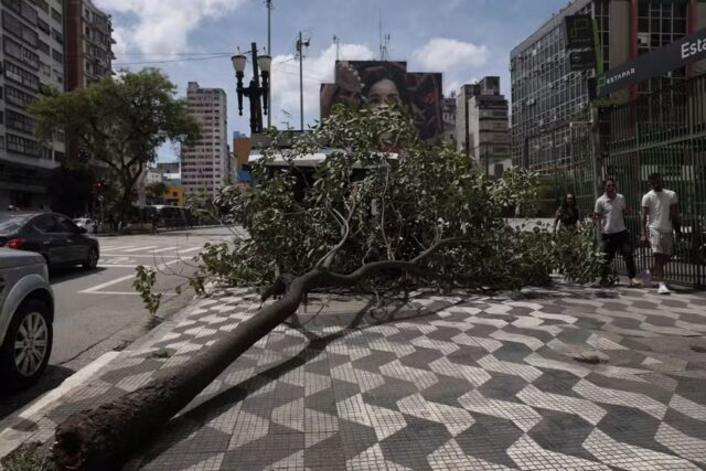 Ventania derruba árvores e afeta serviços em São Paulo durante rajadas de até 90 km/h.