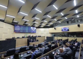 Sessão plenária da Assembleia Legislativa do Piauí — Foto: Divulgação/Alepi