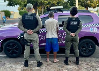 Suspeito de ameaçar mãe idosa e descumprir medida protetiva é preso pela 2ª vez — Foto: Divulgação/PMPI