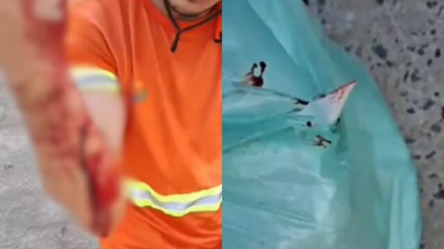 Gari se corta ao recolher sacola com prato quebrado em Teresina — Foto: Reprodução/Redes Sociais