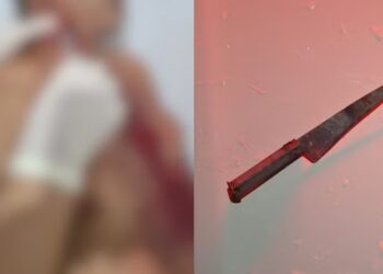 copia de copia de edicao imagens g1 1