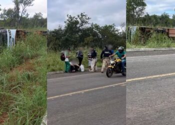 copia de copia de edicao imagens g1 1 .jpg