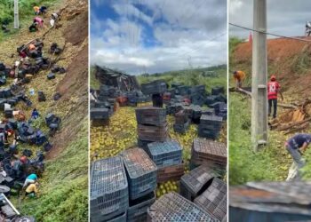 Caminhão tomba em Geminiano e moradores saqueiam carga de laranjas 4 furto laranjas.jpg