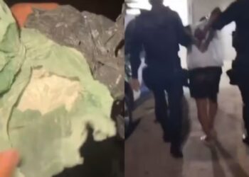 copia de edicao imagens g1 2