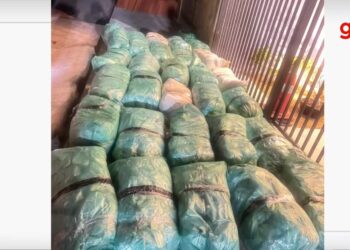 PRF descobre 320 kg de maconha após atender acidente em Monsenhor Hipólito 5 edicao imagens g1 19