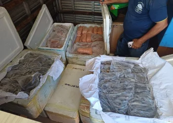 prf intercepta 650 kg de alimentos sem procedencia na br 343.jpeg.1200x0 q95 crop
